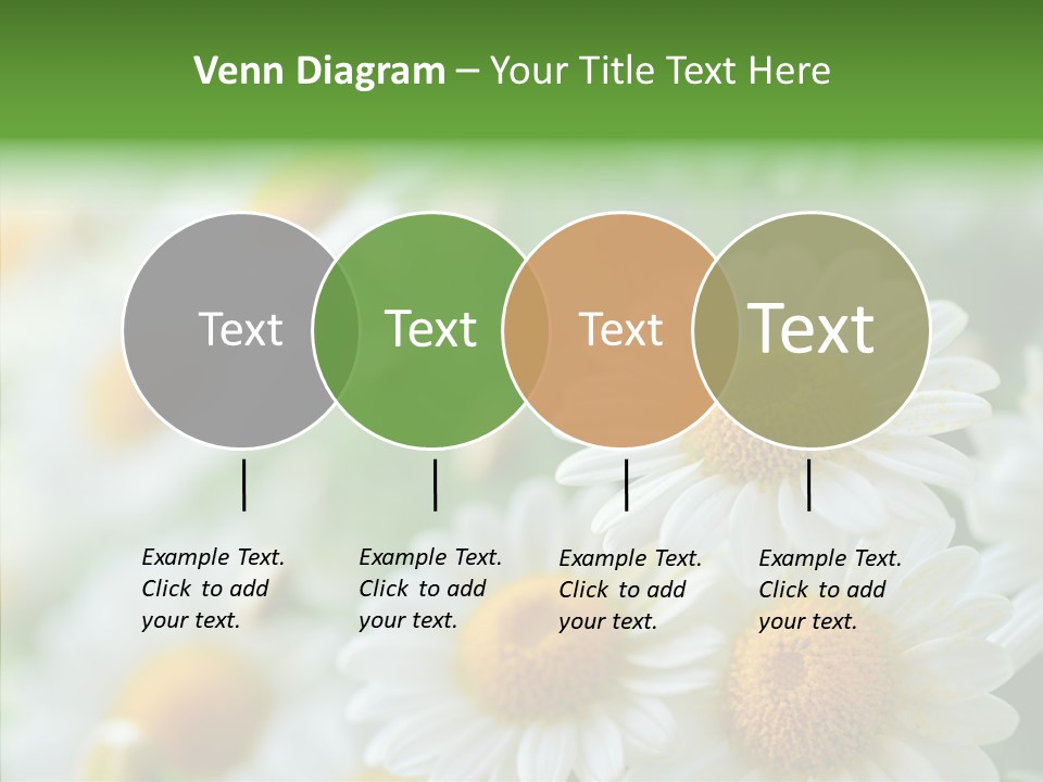 Wild Camomile Meadow PowerPoint Template