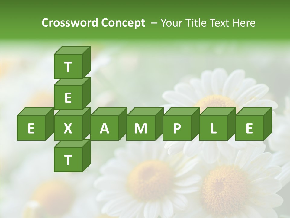 Wild Camomile Meadow PowerPoint Template