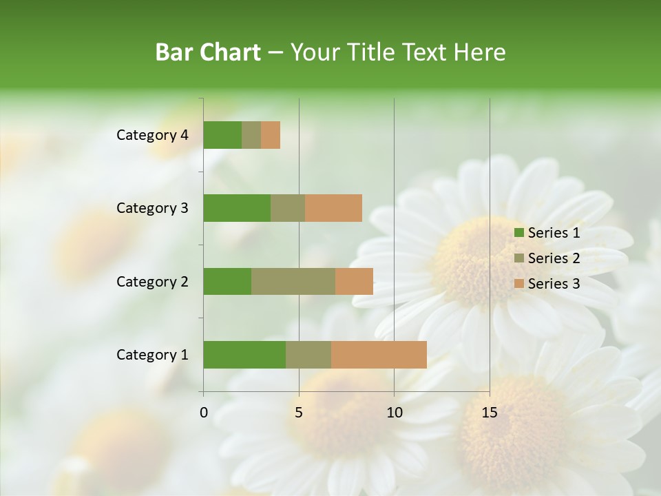 Wild Camomile Meadow PowerPoint Template