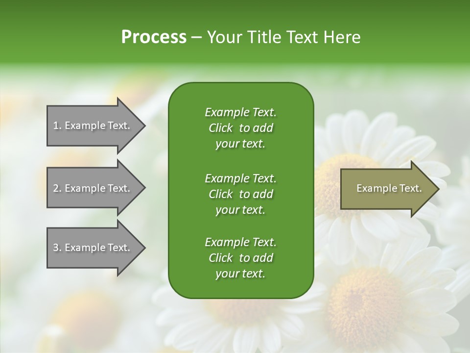 Wild Camomile Meadow PowerPoint Template