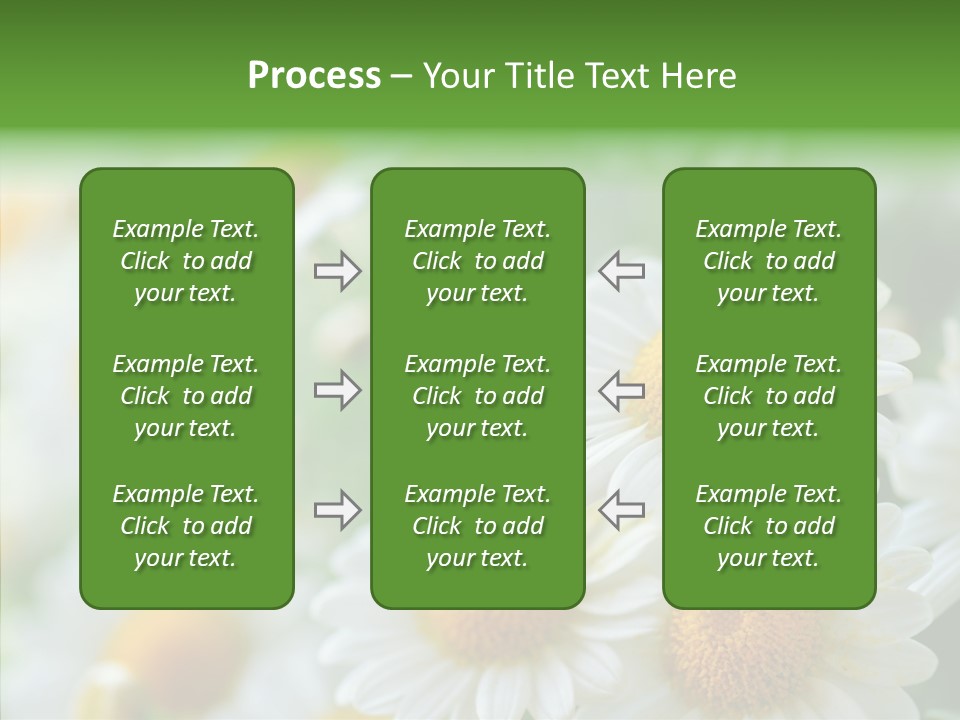 Wild Camomile Meadow PowerPoint Template