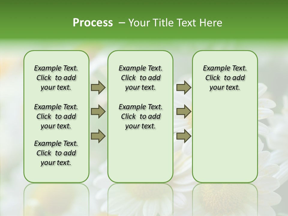Wild Camomile Meadow PowerPoint Template