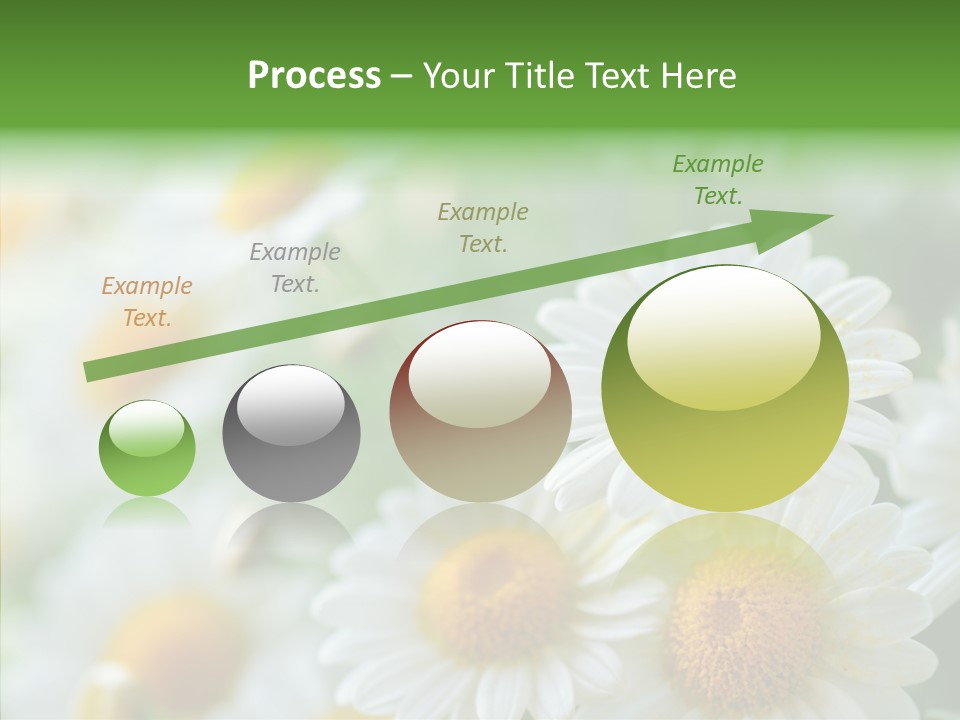 Wild Camomile Meadow PowerPoint Template