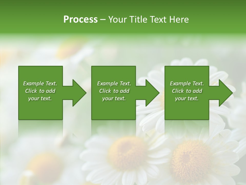 Wild Camomile Meadow PowerPoint Template