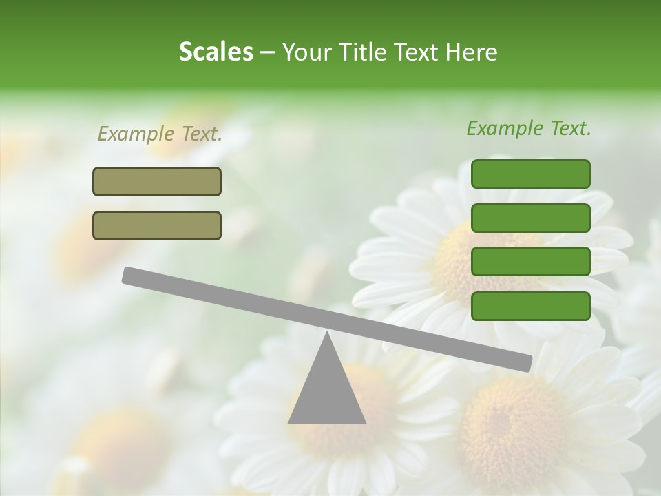 Wild Camomile Meadow PowerPoint Template