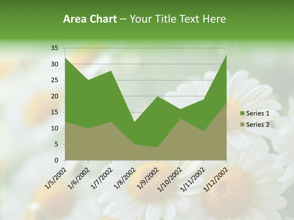 Wild Camomile Meadow PowerPoint Template