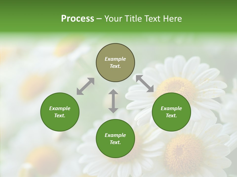 Wild Camomile Meadow PowerPoint Template