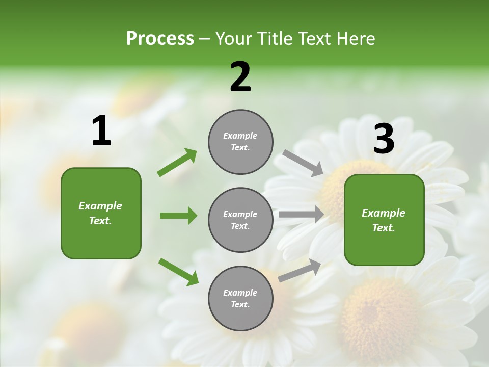 Wild Camomile Meadow PowerPoint Template