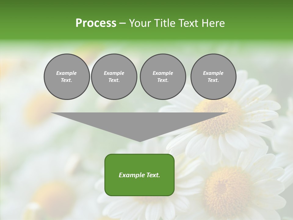 Wild Camomile Meadow PowerPoint Template