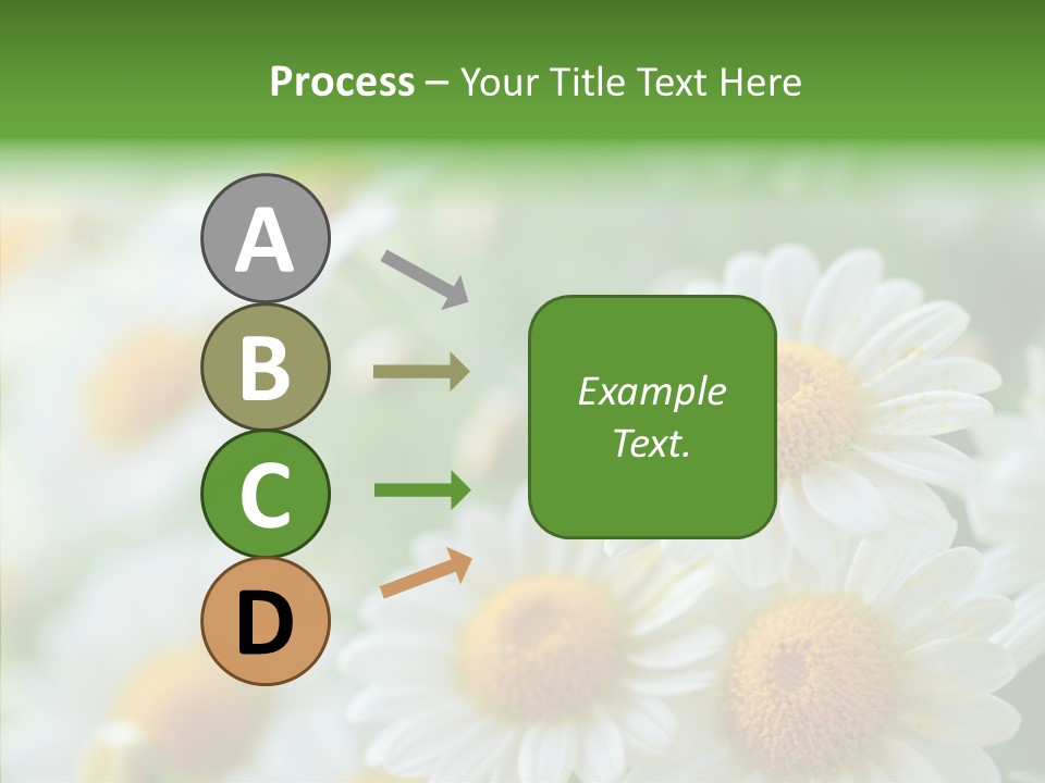 Wild Camomile Meadow PowerPoint Template