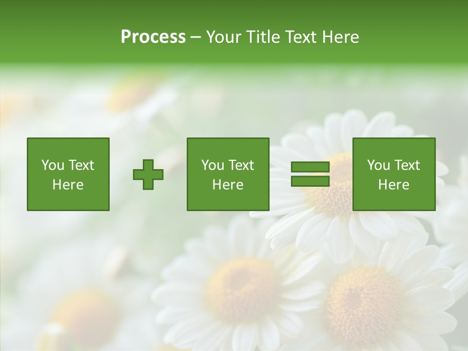 Wild Camomile Meadow PowerPoint Template