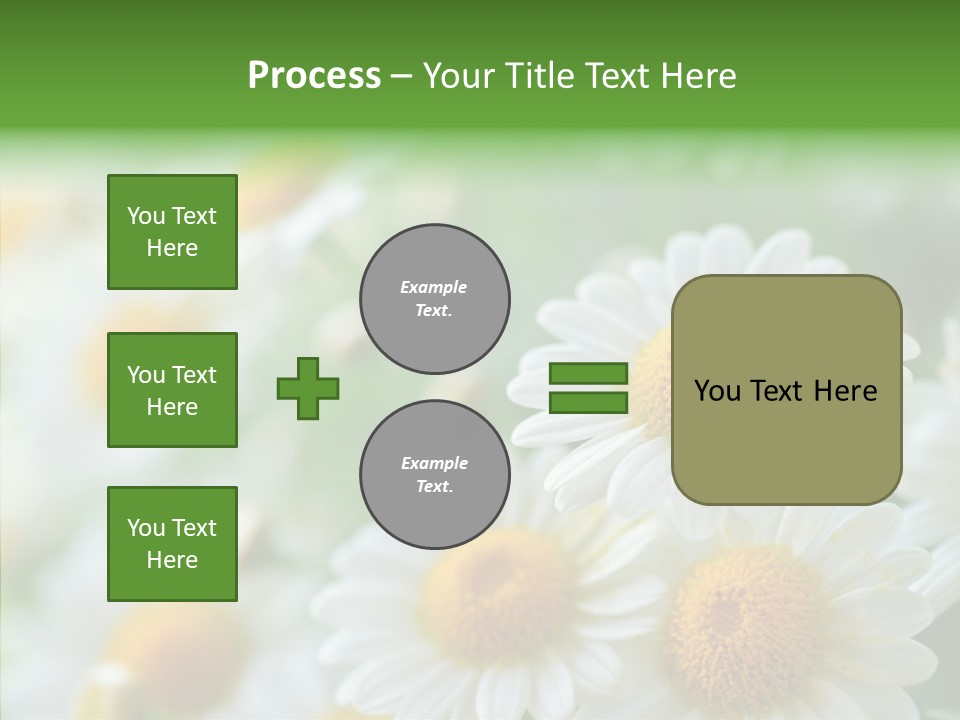 Wild Camomile Meadow PowerPoint Template