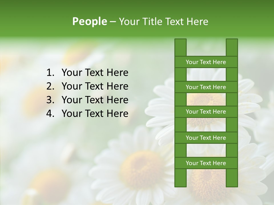 Wild Camomile Meadow PowerPoint Template