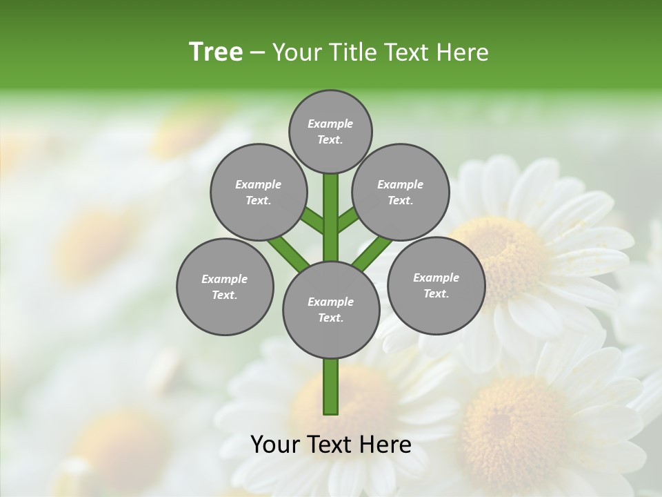Wild Camomile Meadow PowerPoint Template
