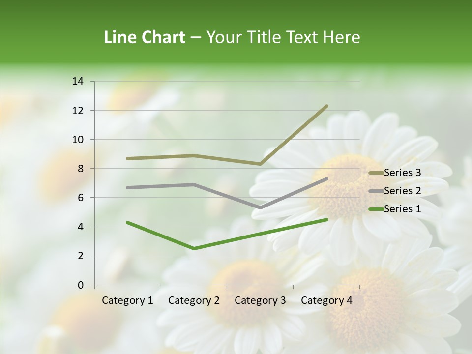 Wild Camomile Meadow PowerPoint Template