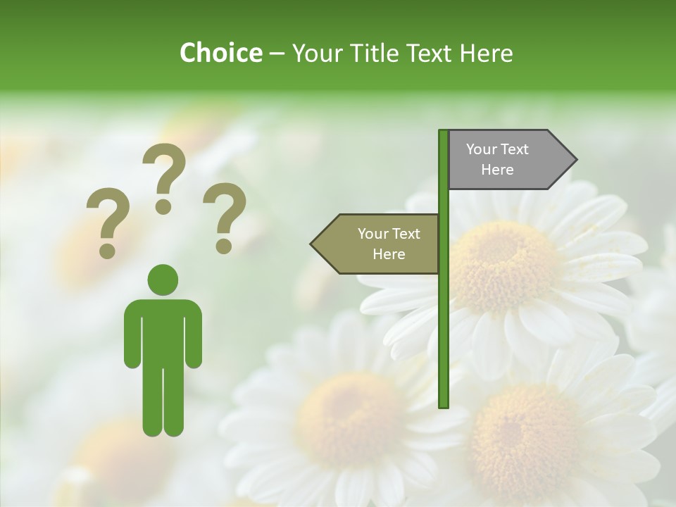 Wild Camomile Meadow PowerPoint Template