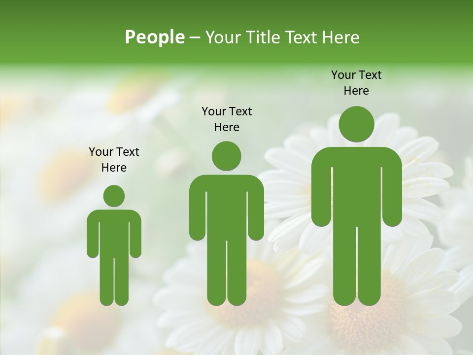 Wild Camomile Meadow PowerPoint Template