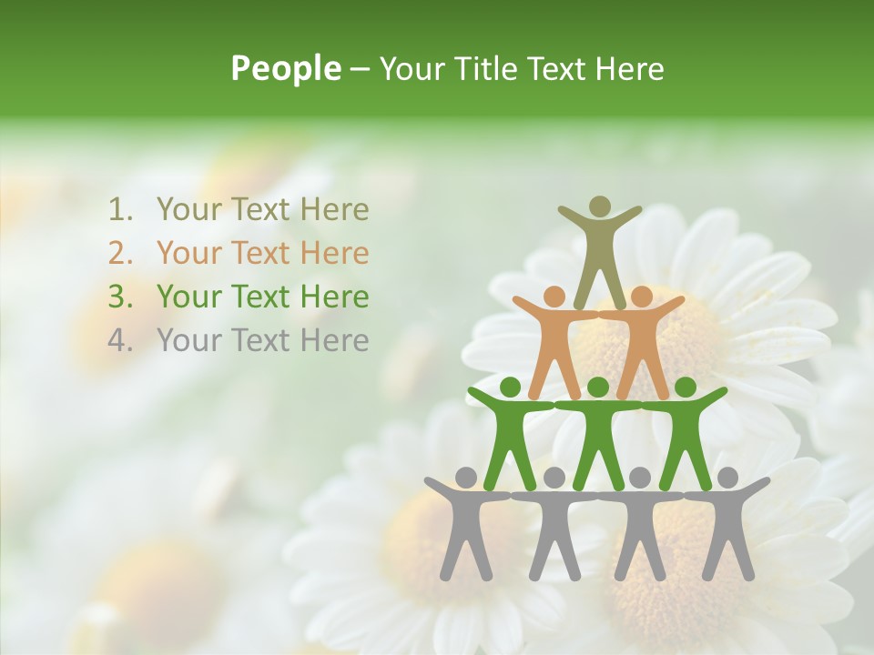 Wild Camomile Meadow PowerPoint Template