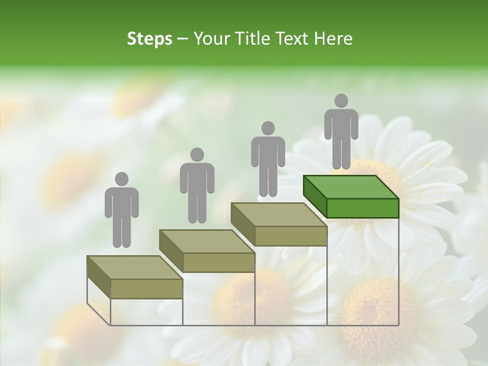 Wild Camomile Meadow PowerPoint Template