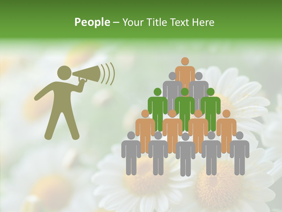 Wild Camomile Meadow PowerPoint Template