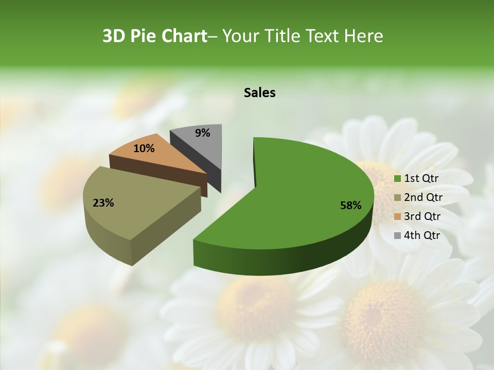 Wild Camomile Meadow PowerPoint Template