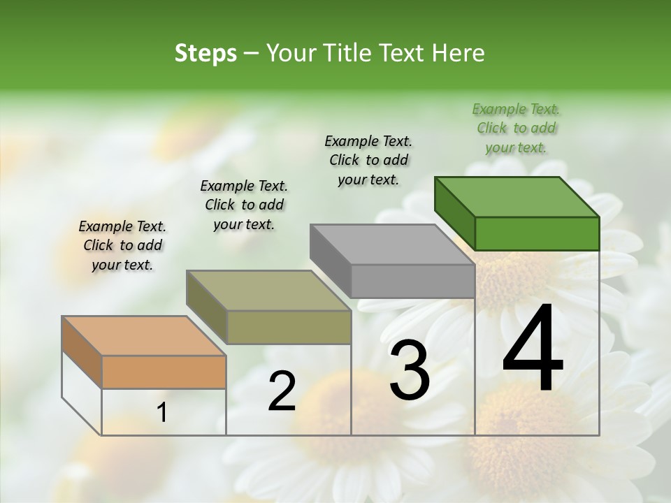 Wild Camomile Meadow PowerPoint Template