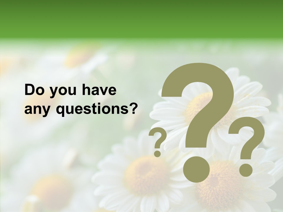 Wild Camomile Meadow PowerPoint Template