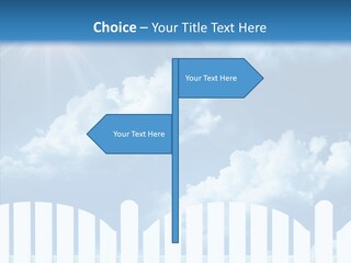 Boardroom Profe Ional Character PowerPoint Template