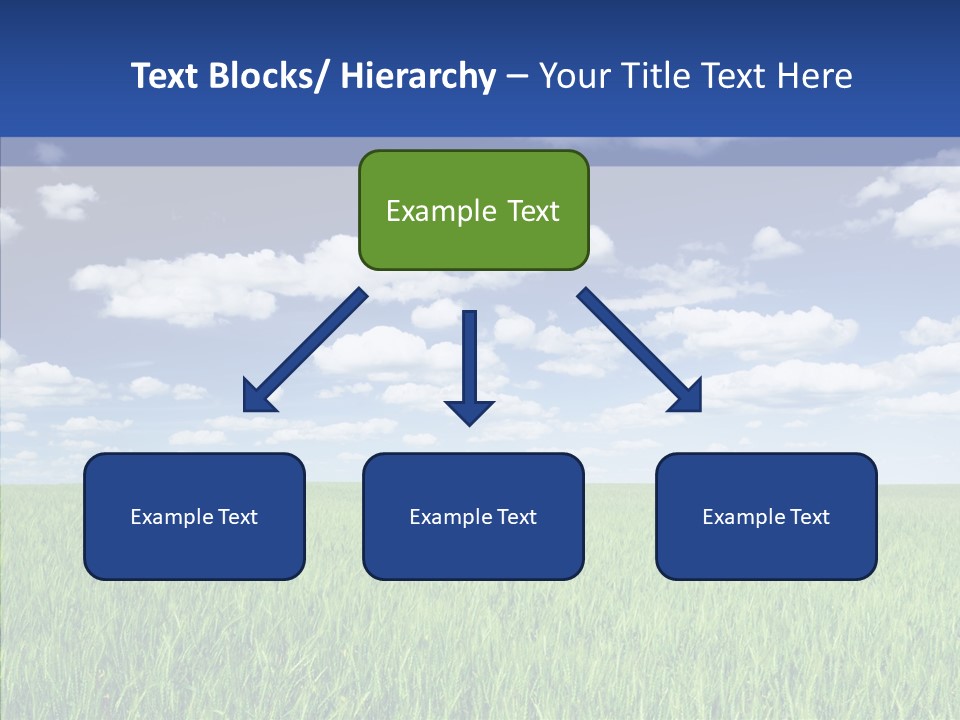 Food Dry Color PowerPoint Template