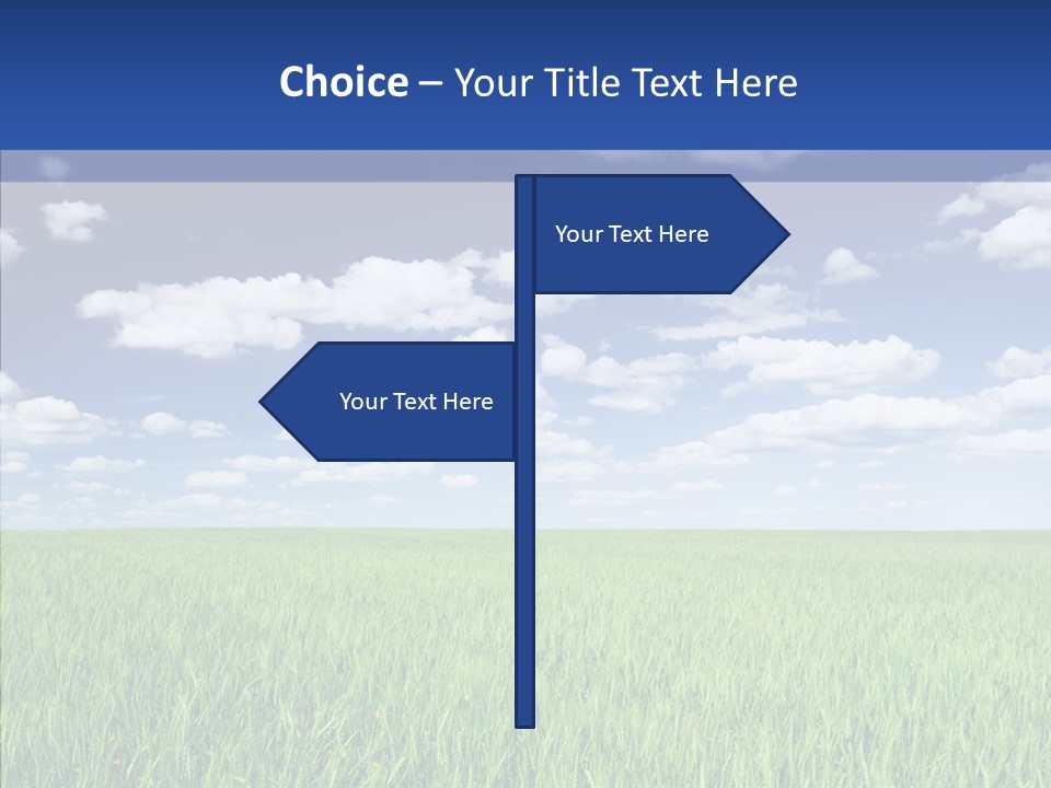 Food Dry Color PowerPoint Template