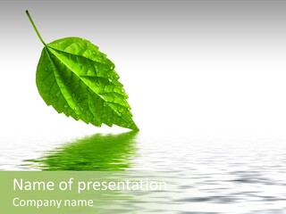 Season Green Freshness PowerPoint Template