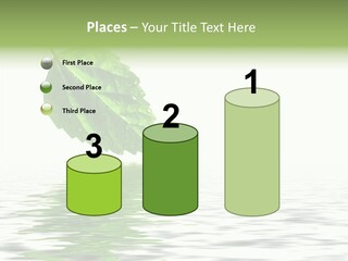 Season Green Freshness PowerPoint Template