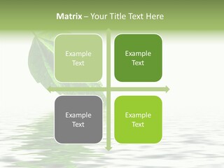 Season Green Freshness PowerPoint Template