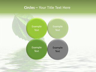 Season Green Freshness PowerPoint Template