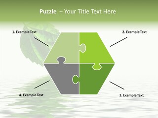 Season Green Freshness PowerPoint Template
