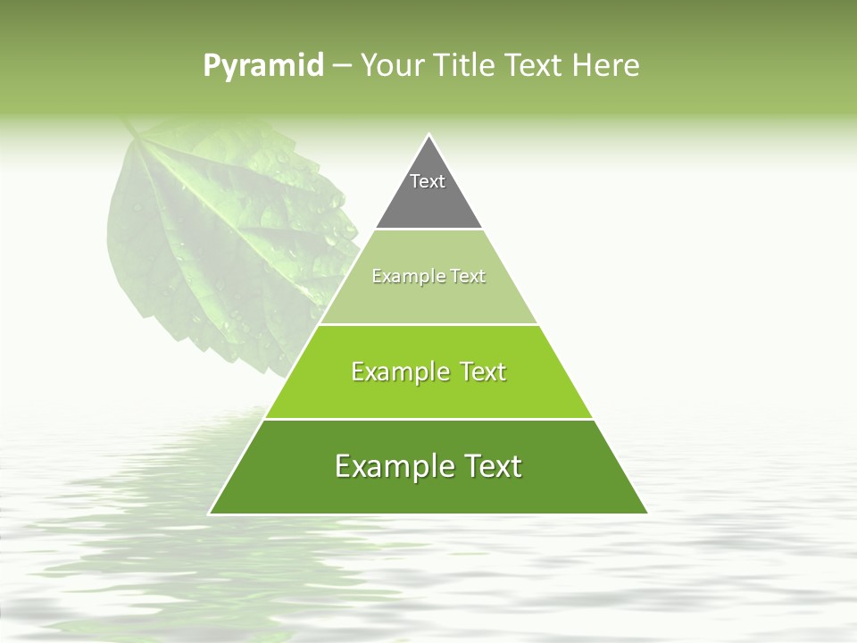 Season Green Freshness PowerPoint Template