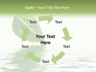 Season Green Freshness PowerPoint Template