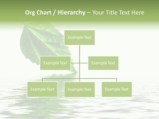 Season Green Freshness PowerPoint Template