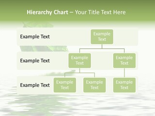 Season Green Freshness PowerPoint Template