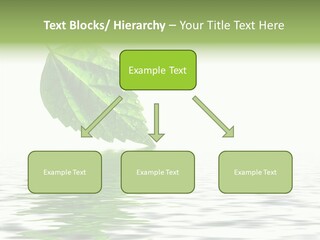 Season Green Freshness PowerPoint Template