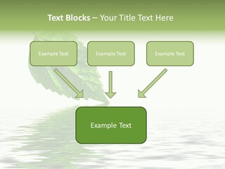Season Green Freshness PowerPoint Template