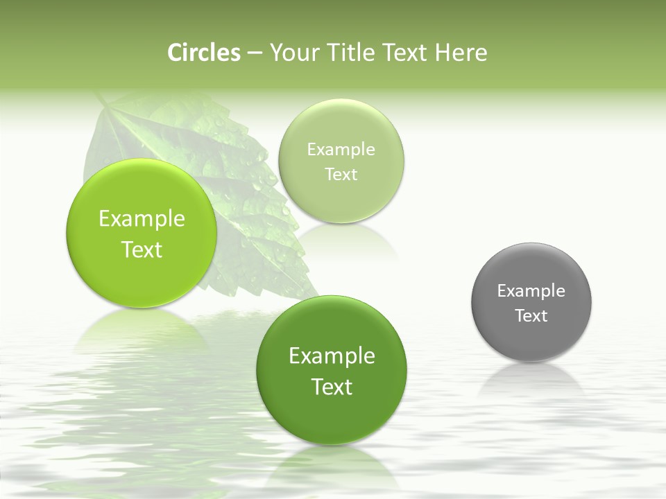 Season Green Freshness PowerPoint Template