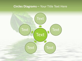 Season Green Freshness PowerPoint Template