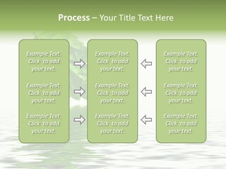 Season Green Freshness PowerPoint Template