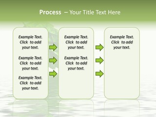 Season Green Freshness PowerPoint Template