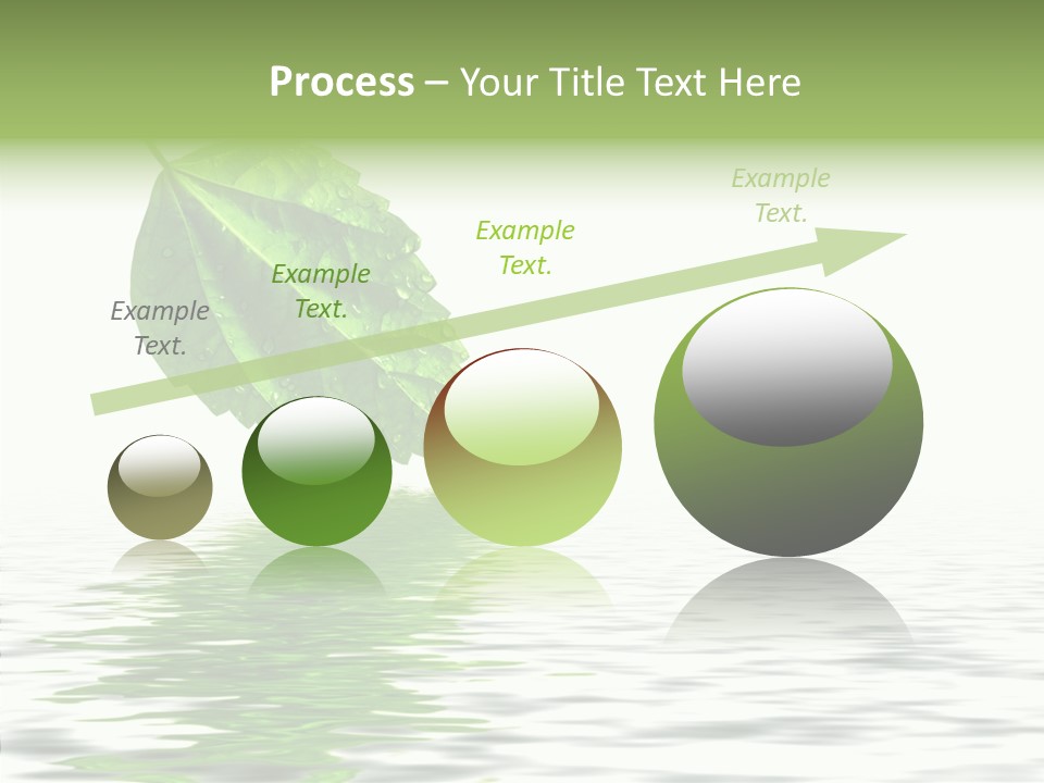Season Green Freshness PowerPoint Template
