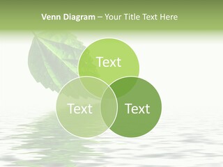 Season Green Freshness PowerPoint Template
