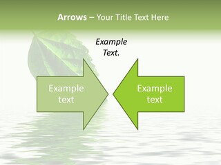 Season Green Freshness PowerPoint Template