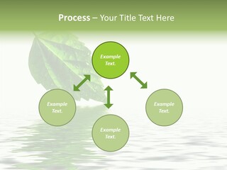 Season Green Freshness PowerPoint Template