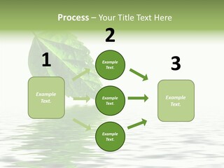 Season Green Freshness PowerPoint Template
